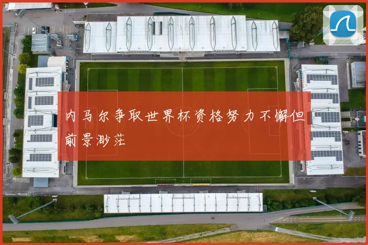 内马尔争取世界杯资格努力不懈但前景渺茫