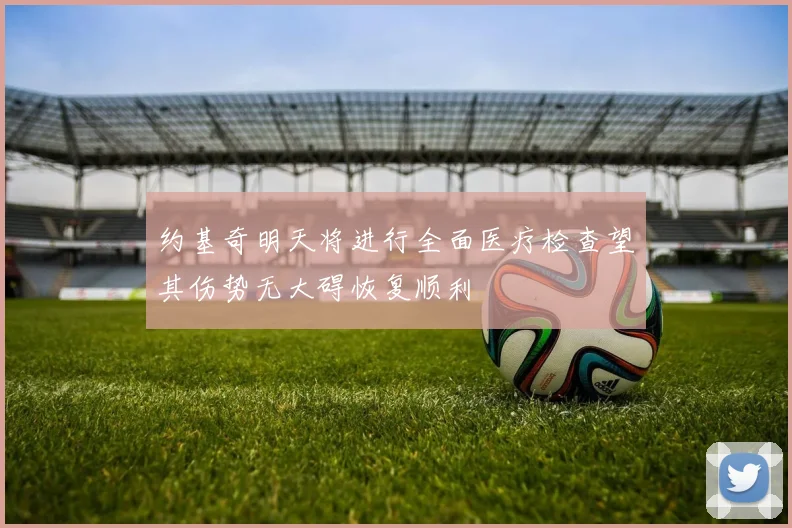 约基奇明天将进行全面医疗检查望其伤势无大碍恢复顺利