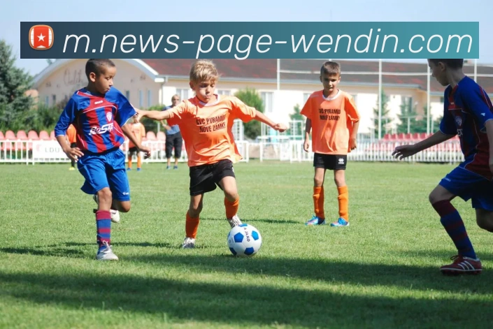 App Interface Preview